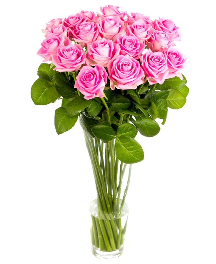 Long Stemmed Pink Roses - Home or Office