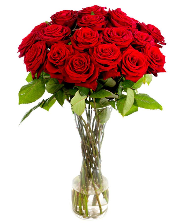 Long Stemmed Red Roses - Home or Office