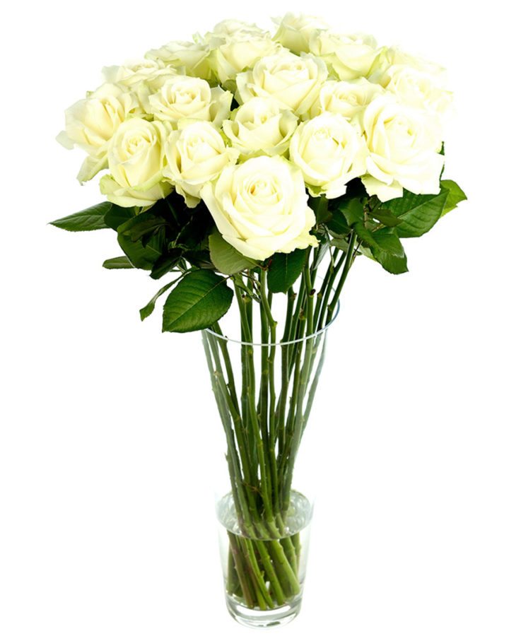 Long Stemmed White Roses - Home or Office