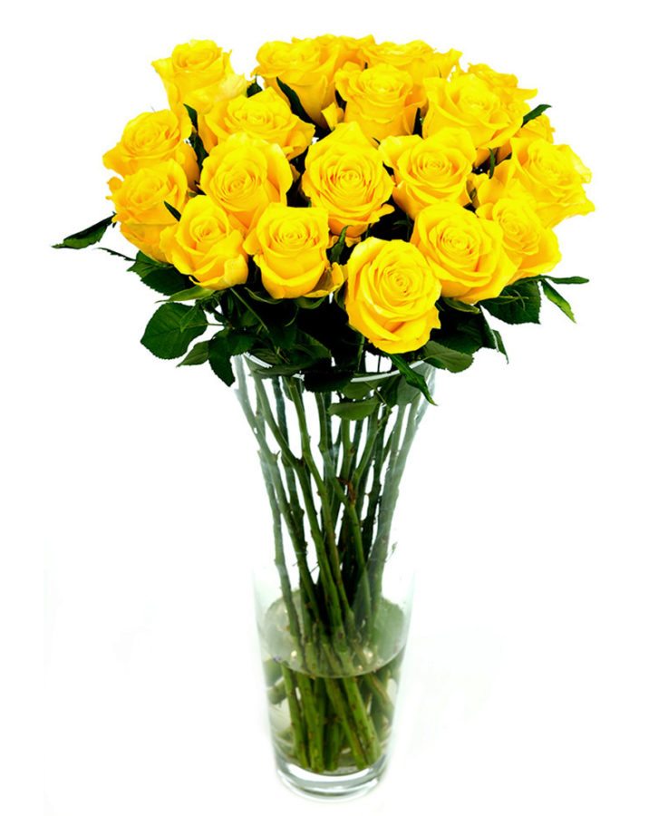 Long Stemmed Yellow Roses - Home or Office