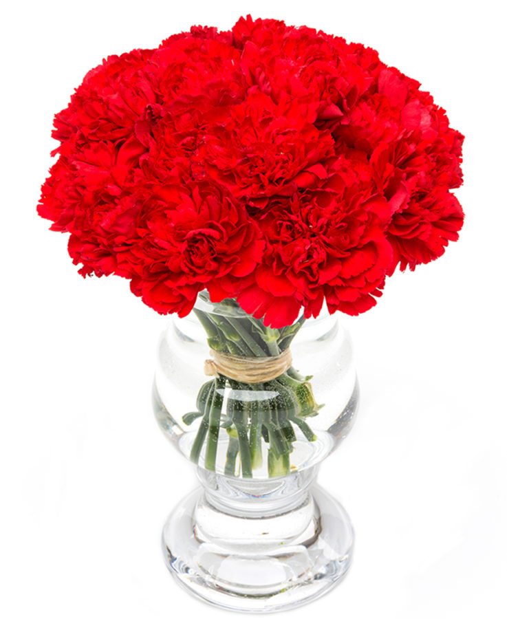 Red Carnations Flowers Delivered