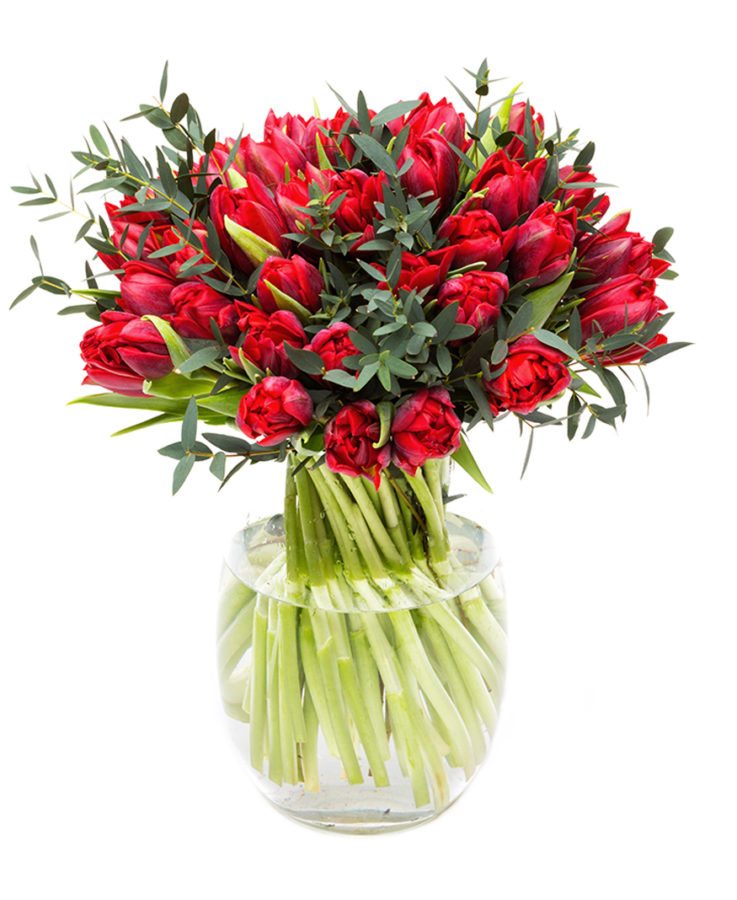 Spring Bouquet - Red Parrot Tulips and Eucalyptus Parvifolia