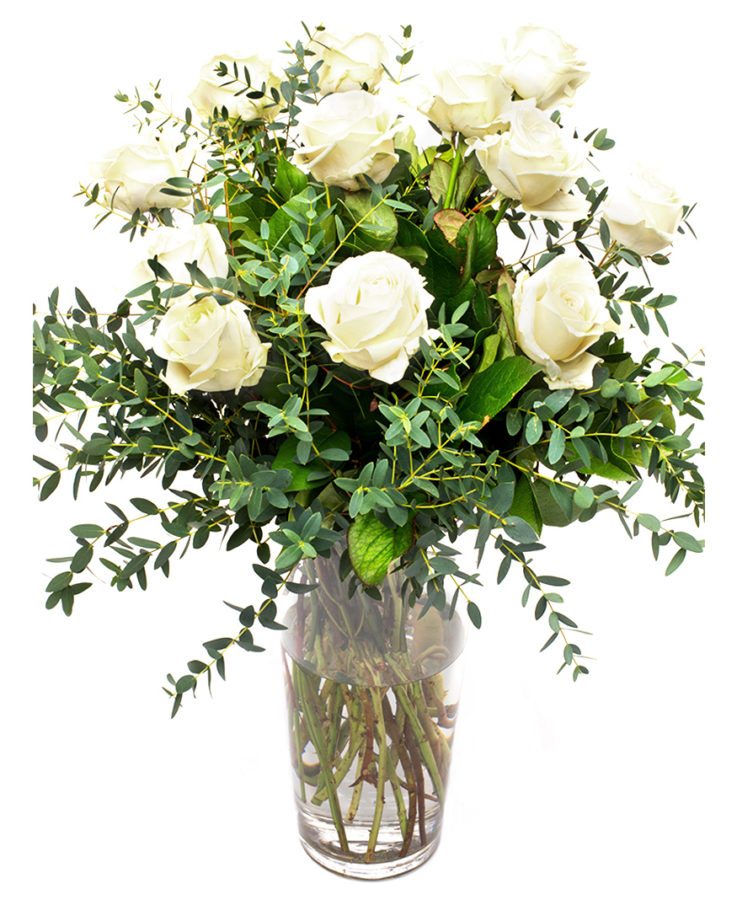 Roses & Foliage - White Avalanche Roses