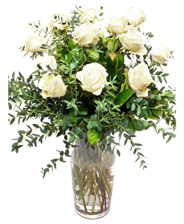 Roses & Foliage - White Avalanche