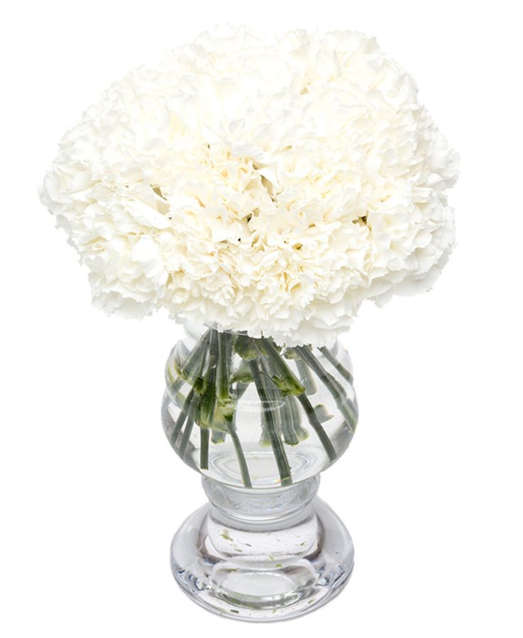 White Carnations Flowers Delivered