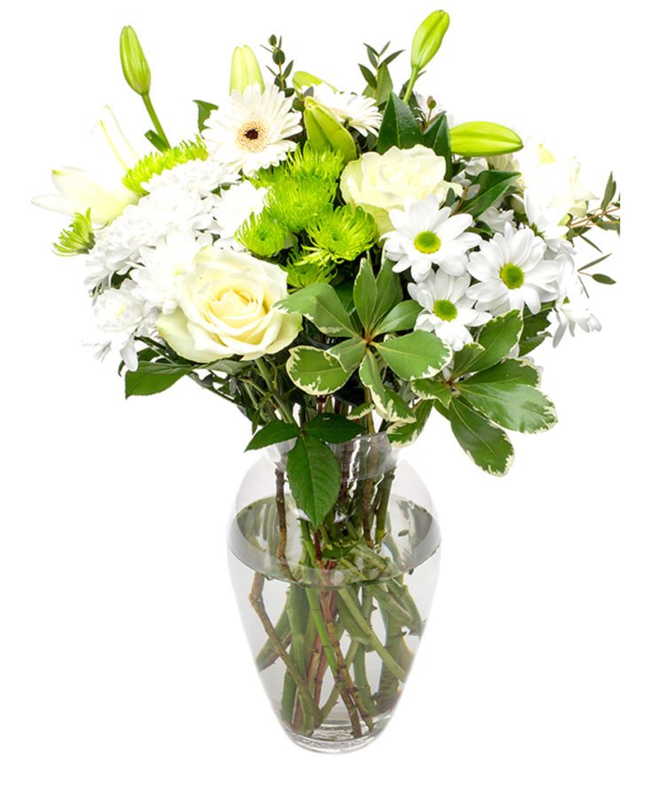 
                      
                        White Flower Bouquet
                      
                    