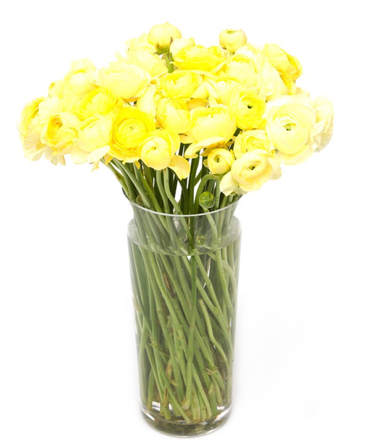 Yellow Ranunculus Flowers Delivered